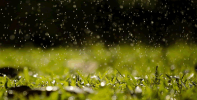 ​10句关于雨的优美句子诗词：平湖漠漠雨霏霏，压水人家燕子飞