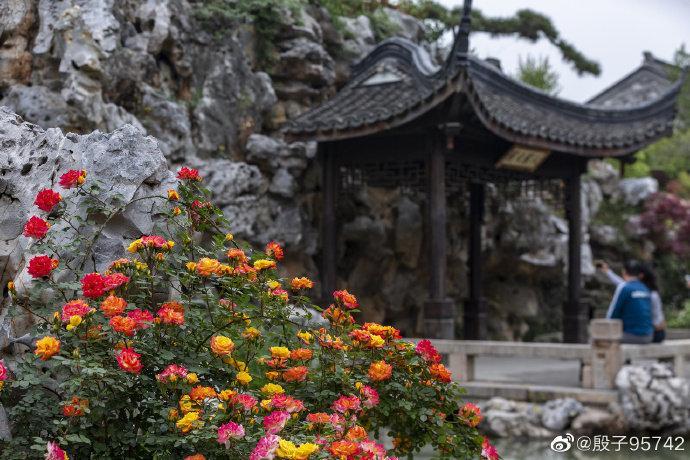 私藏在南京老门东的芥子园，你了解多少