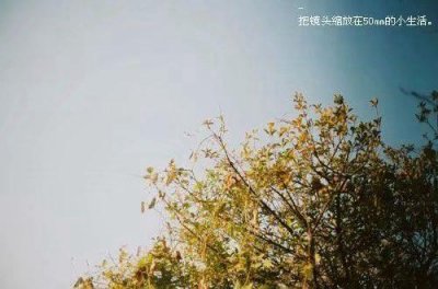 ​吐槽男朋友的搞笑句子 吐槽是什么意思(86句)