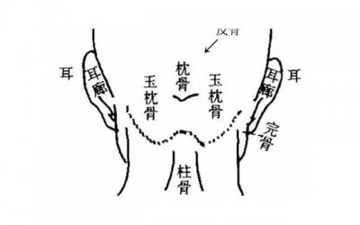 ​红岩人物经典语句(红岩精彩片段摘抄赏析)