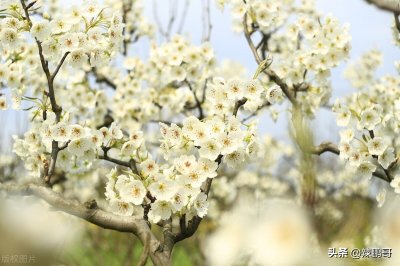 7个“新”字头的成语