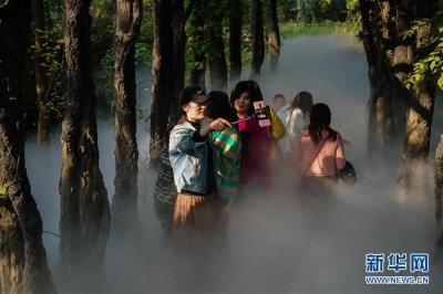 江苏徐州:马陵山上景色美