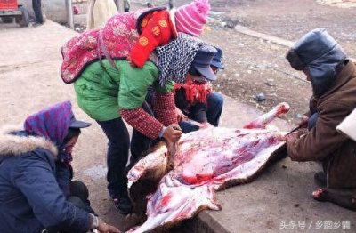 实拍农村女屠夫杀牛全过程,刀法娴熟男人自愧不如!