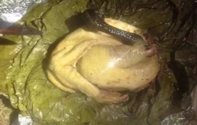 户外徒步,登山探险,野外美食制作:秘不外传之“叫花鸡”!