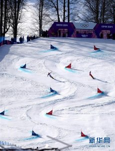 冬奥会项目介绍:单板滑雪