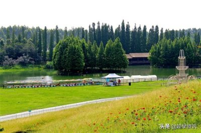 锦绣蓉城,精彩版图之龙泉驿区