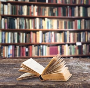 五大文笔极佳的作家,鲁迅钱锺书领衔,莫言魔幻入选