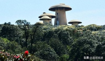 探秘云南菌子山景区:50平方公里壮丽秘境,海拔2409.7米震撼体验