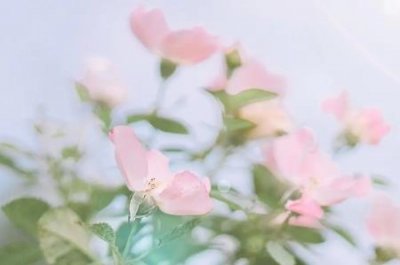 辐照食品 辐照食品的概念