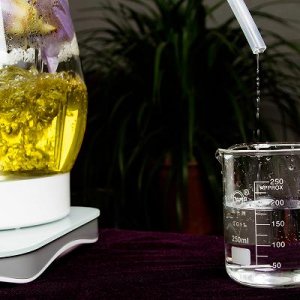 易拉罐啤酒厂家供货(龙岩易拉罐啤酒厂家)