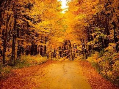 探索内心世界:趣味心理测试助你认识真实的自己