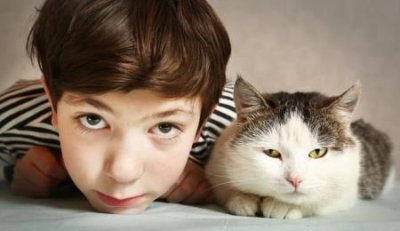 猫咪可以通过什么判断你年龄?看牙齿是最准备的凭证