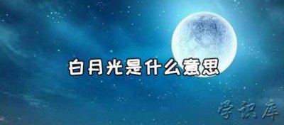 白月光是什么意思,白月光的含义