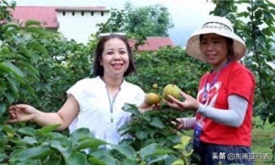 越南老街省发挥优势 迎接旅游新趋势
