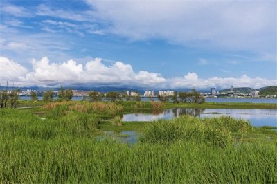 旅途见闻—云南(大理-洱海月湿地公园)