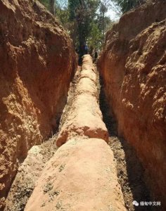 缅甸价值数百亿的巨型树化玉最后怎么处理?终于有答案了