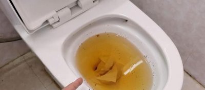 纸巾堵了厕所,用什么方法可以疏通?,厕所被卫生纸堵住了怎么办蹲坑型的
