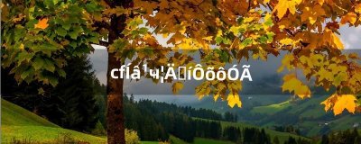 cf外挂功能表怎么用(cf手游外挂有病毒吗)