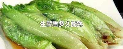 生菜煮熟需要几分钟 生菜要煮多少分钟煮熟
