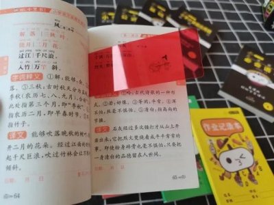 小学必备《小黑书》