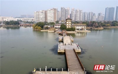 从大片鱼塘变身为生态景观公园,我见证着长沙月湖公园的华丽蜕变