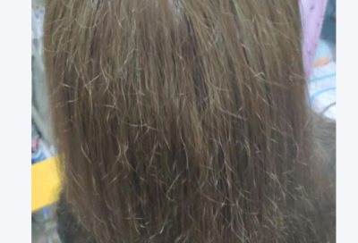 国际法学论文范例6篇