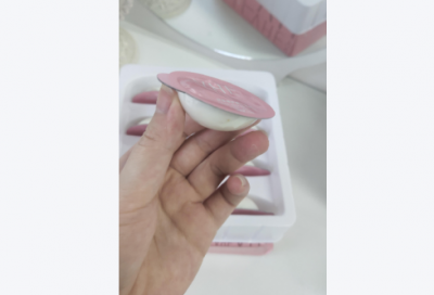 项目简报模板范例6篇